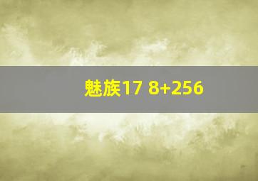 魅族17 8+256